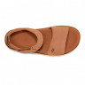 UGG Goldenstar Sandal Chestnut