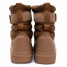 Ugg Mens Classic Short Pull-On - Chestnut