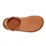 Ugg Goldenstar Clog Chestnut