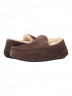 Ugg Mens Ascot Chocolate