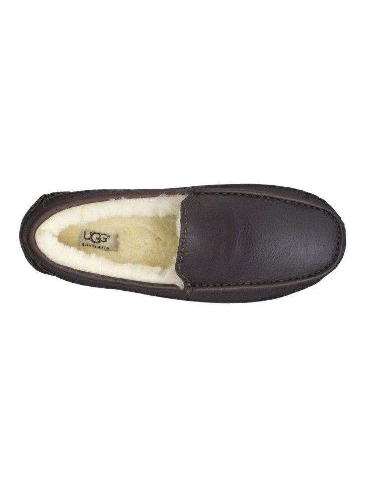 Ugg Mens Ascot Metallic Chocolate
